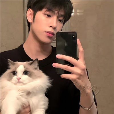 两个男生谈恋爱网站有哪些